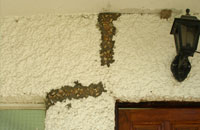 [rg] reformasGUADALAJARA - Solución al problema de grietas en la pared exterior de una vivienda